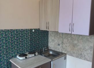 Аренда квартиры студии, 24 м2, Амурская область, Амурская улица, 248