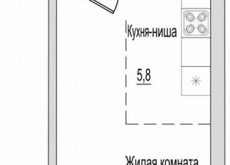 Продается однокомнатная квартира, 31 м2, Псковская область, улица Героя России Досягаева, 6