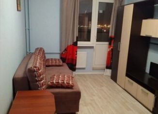 Аренда 1-ком. квартиры, 36 м2, посёлок Шушары, Новгородский проспект, 10