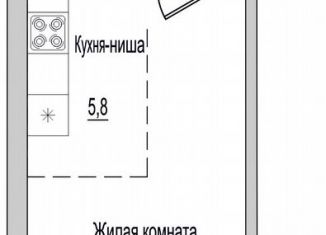 Продажа 1-ком. квартиры, 31 м2, Псковская область, улица Героя России Досягаева, 6