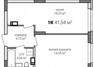 Однокомнатная квартира на продажу, 41.5 м2, Нижний Новгород, Советский район