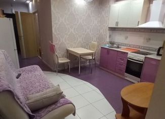 Сдаю в аренду квартиру студию, 38 м2, Иркутск, улица Семена Лагоды, 4/3