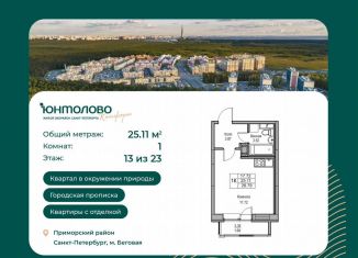 Квартира на продажу студия, 25.1 м2, Санкт-Петербург, метро Беговая, Ивинская улица, 5к2