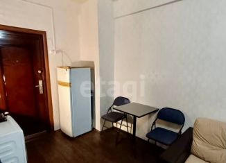 Квартира в аренду студия, 19 м2, Удмуртия, Удмуртская улица, 233