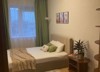 Сдается 1-ком. квартира, 40 м2, Санкт-Петербург, Коломяжский проспект, 15к1, муниципальный округ Комендантский Аэродром