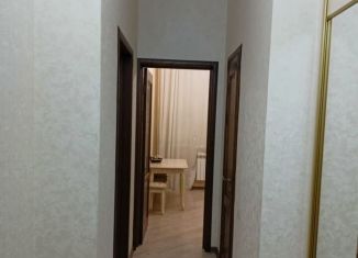 Сдам в аренду 1-ком. квартиру, 50 м2, Дагестан, улица Ирчи Казака, 35