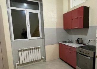 Сдача в аренду квартиры студии, 20 м2, Алтайский край, улица Чкалова, 60