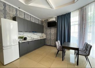 Сдам в аренду 1-ком. квартиру, 100 м2, Сочи, улица Калараша, 125