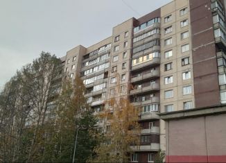 Продажа 2-ком. квартиры, 55 м2, Санкт-Петербург, Шлиссельбургский проспект, 12к2, муниципальный округ Рыбацкое