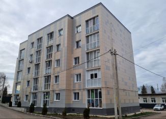 Продаю 1-ком. квартиру, 36 м2, село Высокая Гора, Луговая улица, 14