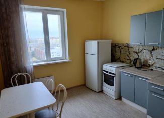 Сдается 1-ком. квартира, 40 м2, Новосибирск, Нижегородская улица, 18, метро Площадь Ленина