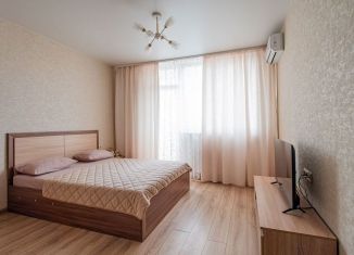 Аренда 1-ком. квартиры, 40 м2, Ростов-на-Дону, Доломановский переулок, 82