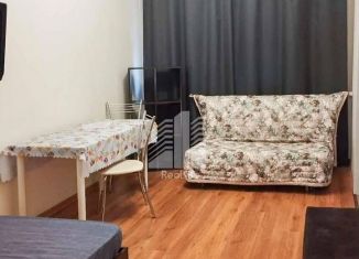 Продается квартира студия, 29 м2, деревня Горки, Туровская улица, 5