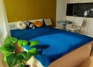 Квартира в аренду студия, 24 м2, посёлок городского типа Дагомыс, Старошоссейная улица, 5к2