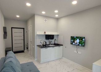 Сдается в аренду квартира студия, 20 м2, Сочи, Ясногорская улица, 16/6к2, микрорайон Бытха