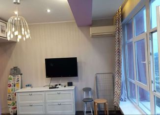 Сдаю однокомнатную квартиру, 28 м2, Сочи, Вишнёвая улица, микрорайон Макаренко