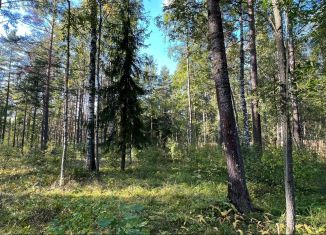 Продаю участок, 30.5 сот., деревня Раздолье, деревня Раздолье, 6Б