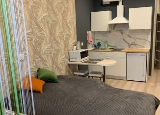 Продажа квартиры студии, 25.3 м2, Краснодар, улица им. Героя Сарабеева В.И., 5к3, ЖК Керченский