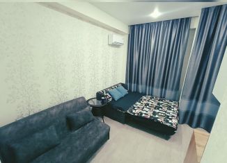 Квартира в аренду студия, 24 м2, Сочи, улица Калараша, ЖК Семейный