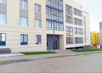 Продажа помещения свободного назначения, 41.3 м2, село Первомайский