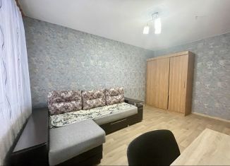 Сдается в аренду 1-комнатная квартира, 31 м2, Кингисепп, улица Химиков, 4