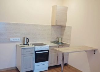 Квартира в аренду студия, 25 м2, Новосибирск, улица Ватутина, 93/2, ЖК Акация на Ватутина