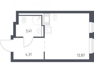 Продам квартиру студию, 20.6 м2, Санкт-Петербург, Дворцовая площадь, метро Адмиралтейская