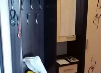 Сдается 1-комнатная квартира, 44 м2, Мытищи, 2-я Институтская улица, 24А, ЖК Спутник