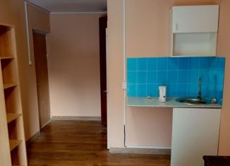 Квартира в аренду студия, 18 м2, Москва, район Некрасовка, посёлок Некрасовка, 806