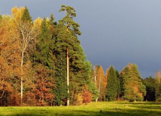 Земельный участок на продажу, 7.5 сот., деревня Ямуга, деревня Ямуга, 78А