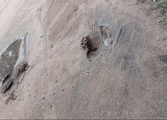 Продаю дом, 23 м2, деревня Майдан, деревня Майдан, 119