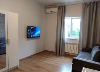 Сдается в аренду квартира студия, 23 м2, Сочи, садовое товарищество Восход-4, 7, микрорайон Соболевка