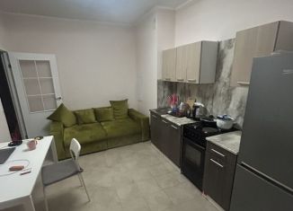 Сдаю 1-ком. квартиру, 30.5 м2, Люберцы, улица Камова, 9к3, ЖК Люберцы 2018