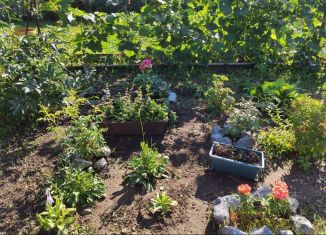 Продажа дачи, 12 м2, Бердск, 3-я улица