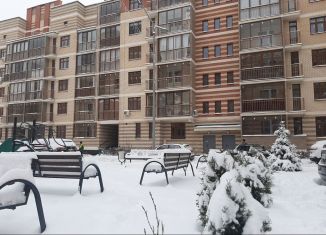 Квартира на продажу студия, 18.7 м2, деревня Ивановское, улица Семёна Гордого, 10