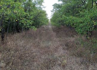 Продажа участка, 200 сот., село Ароматное