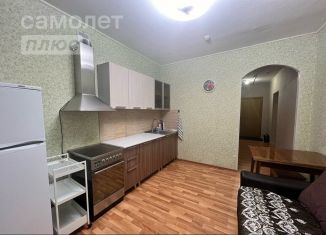 Сдается однокомнатная квартира, 48 м2, Тосно, улица Блинникова, 16