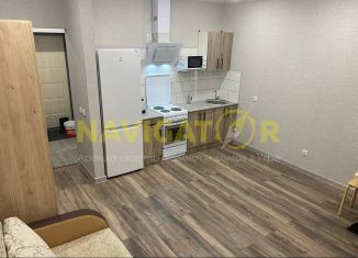 Сдаю 1-комнатную квартиру, 28 м2, Республика Башкортостан, улица Асхата Мирзагитова, 8