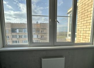 Аренда однокомнатной квартиры, 40 м2, Краснодар, Круговая улица, 4Вк2, ЖК Цветы