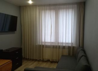 Сдается 1-ком. квартира, 33 м2, Санкт-Петербург, Русановская улица, 17к1, ЖК Ласточкино Гнездо