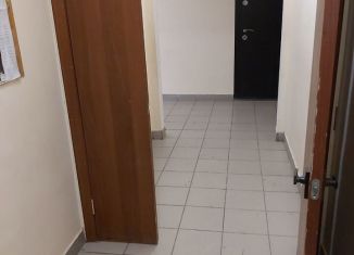 Сдаю в аренду квартиру студию, 25 м2, поселок Темерницкий, Весенняя улица, 4/2