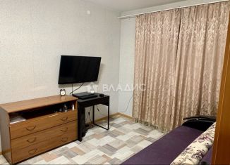 Продажа однокомнатной квартиры, 33.2 м2, сельский посёлок Новинки, Нижегородская улица, 13, ЖК Окский Берег