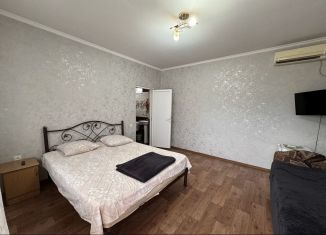 Сдам в аренду 1-ком. квартиру, 25 м2, Сочи, улица Чернышевского, 12, микрорайон Голубые Дали