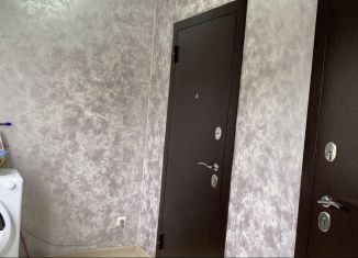 Сдаю в аренду квартиру студию, 27 м2, Сочи, улица Пятигорский Тупик, 12А, микрорайон Соболевка