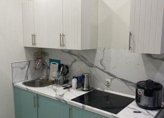 Продам квартиру студию, 21 м2, Кудрово, Столичная улица, 11к2, ЖК Вернисаж