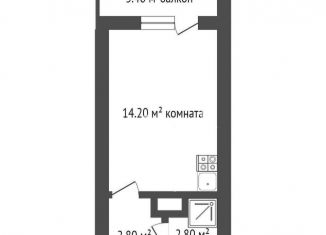 Квартира на продажу студия, 21 м2, Санкт-Петербург, набережная реки Каменки, 19к3, метро Озерки
