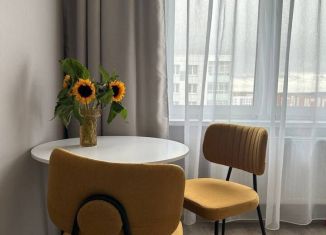 Сдаю квартиру студию, 27 м2, Пермь, ЖК Арсенал, улица Василия Татищева, 6