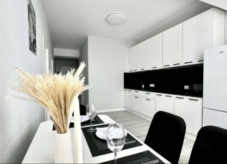 Сдам в аренду двухкомнатную квартиру, 60 м2, Сочи, Пасечная улица, 30, микрорайон Донская