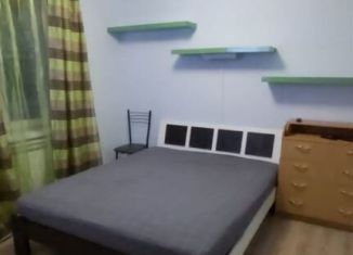 Сдам 1-ком. квартиру, 30 м2, деревня Лапшинка, деревня Лапшинка, 159