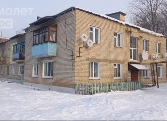 Продажа 2-комнатной квартиры, 46 м2, поселок Прибрежный, Набережная улица, 1